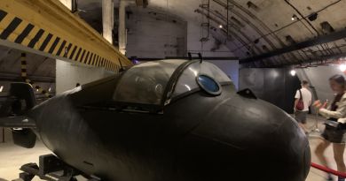 Фиолент - Балаклава и морская прогулка - фото 25