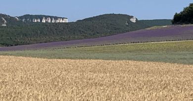 Бахчисарай. Крымское Ханство и пещерный город Чуфут-Кале - фото 51